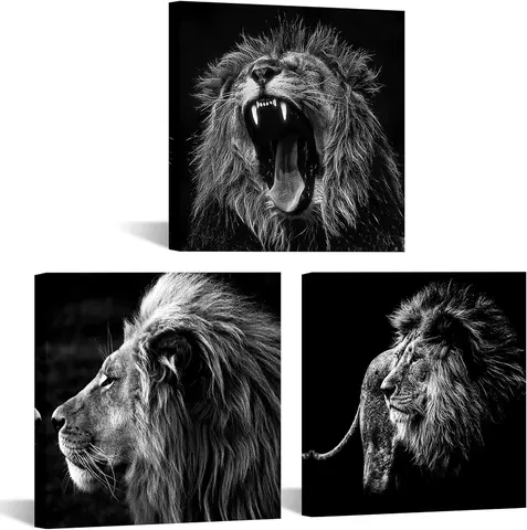 3 Pcs Factory Direct Sale Black and White Lion Rimless Mural Living Room Office Decorative Painting Wall Art Home Decor