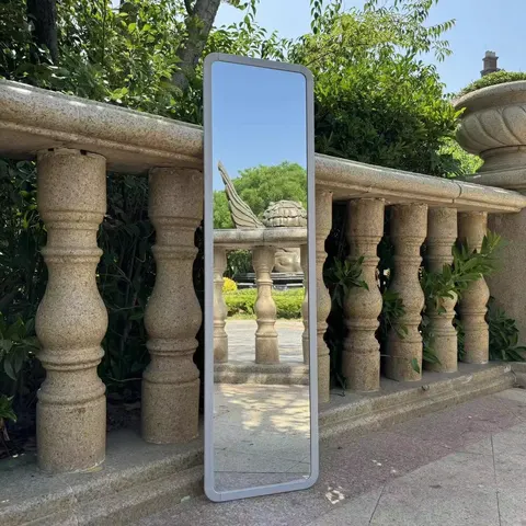 Hot Selling Internet Celebrity Simple Full Body Floor Mirror Student Dormitory Clothing Store Rental House Dressing Room Mirror
