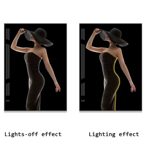 Modern Simplicity Glowed LED Painting Fashion Female Portrait Art Home Furnishing Decor Painting
